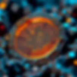 A conceptual representation of Cryptex technology in the cryptocurrency market