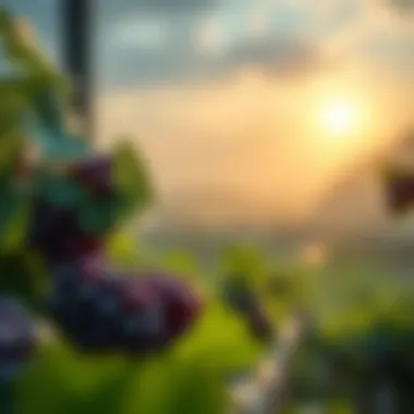 Future Prospects of GrapeCoin in the Crypto Market Future trends for GrapeCoin and cryptocurrency market