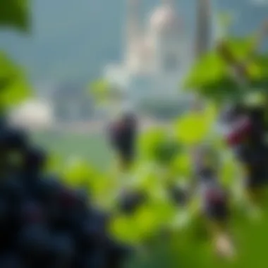 Strategic Insights for Investing in GrapeCoin Investment strategies involving GrapeCoin
